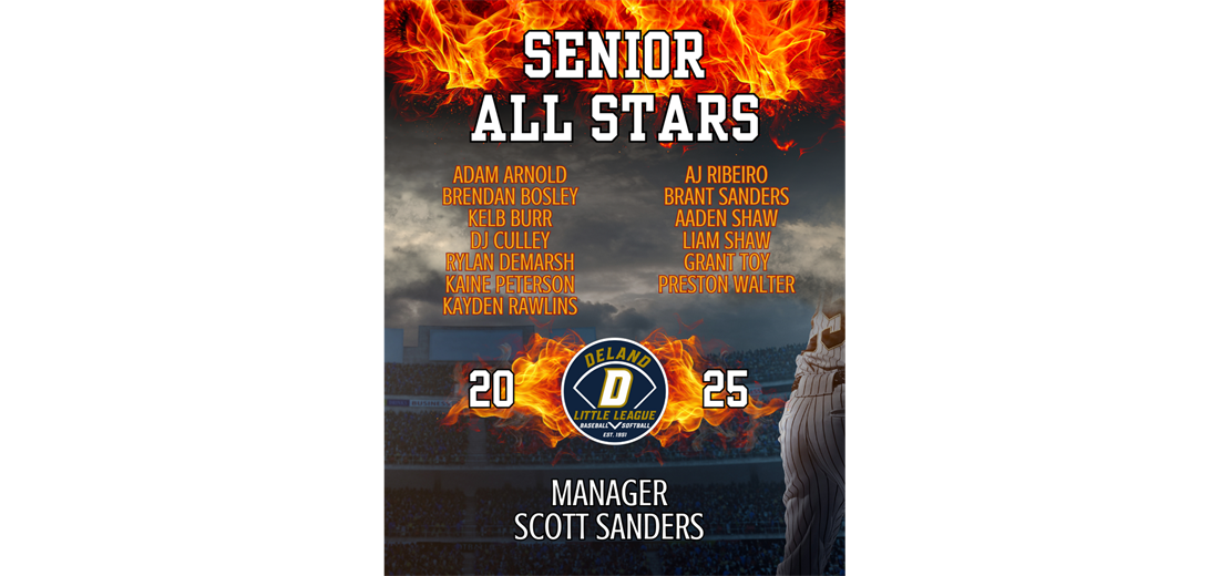 Senior Baseball All-Stars 2025